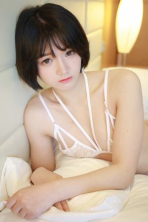 仙迹寻踪动漫在线观看全集高清_1080P手机在线看